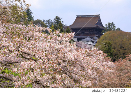 吉野山 39485224