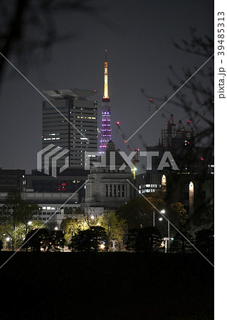 日本の東京都市景観 国会議事堂や東京タワー(赤紫)などを望む(夜景) 日本の東京都市景観 国会議事堂や東京タワー(赤紫)などを望む(夜景) 39485313