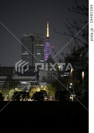 日本の東京都市景観　国会議事堂や東京タワー（赤紫）などを望む（夜景） 39485394