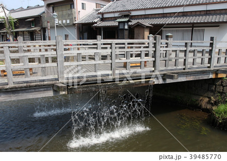 樋橋 39485770