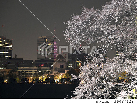 日本の東京都市景観　桜と東京タワー（上部消灯・赤紫）や国会議事堂などを望む（夜景） 39487128