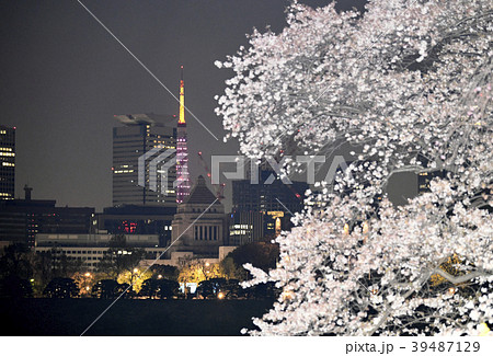 日本の東京都市景観　桜と東京タワー（赤紫）や国会議事堂などを望む（夜景） 39487129