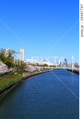 桜の咲く名古屋市　都市風景 39487787