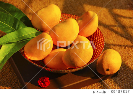 Decorative bowl full with fresh Alphonso mangoes Decorative bowl full with fresh Alphonso mangoes 39487817