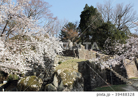 桜満開の苗木城大矢倉跡 39488328