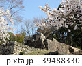 桜満開の苗木城大矢倉跡 桜満開の苗木城大矢倉跡 39488330