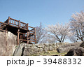 桜満開の苗木城跡 桜満開の苗木城跡 39488332