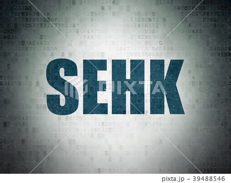 Stock market indexes concept: SEHK on Digital Data 39488546