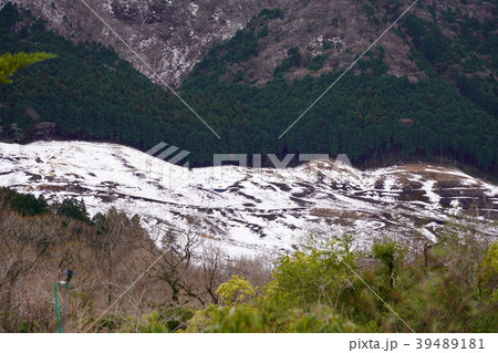 神奈川県 箱根湿性花園から望む 野焼き後に降雪した仙石原の写真素材