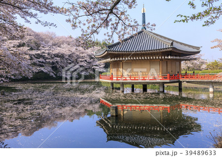 安倍文殊院 39489633