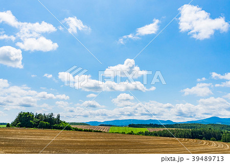 【北海道】自然イメージ 39489713