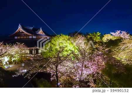桜のライトアップ風景 京都将軍塚 桜のライトアップ風景 京都将軍塚 39490152