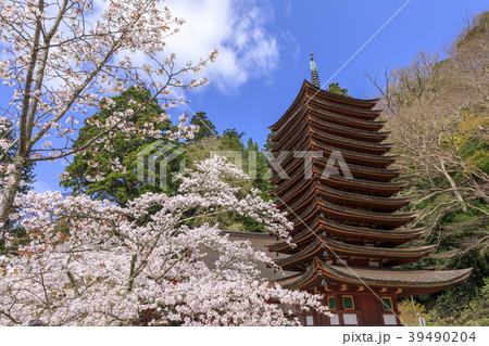 談山神社の桜の写真素材