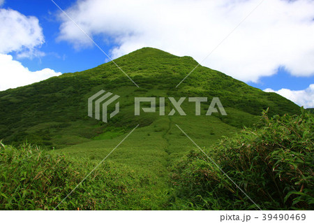 登山道から見上げる南暑寒岳 39490469