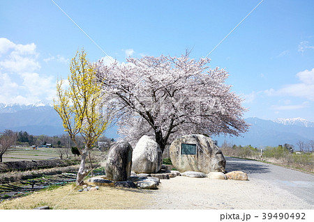 安曇野:早春賦　歌碑  安曇野市 39490492
