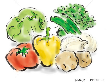 野菜 39490593