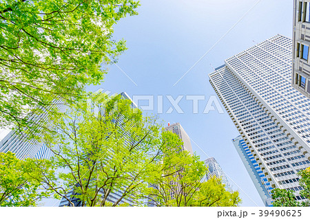 【東京都】新緑の都市風景 39490625