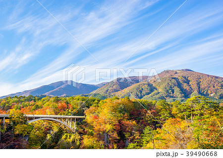 【宮城県】鳴子峡の紅葉 39490668
