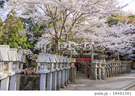 信貴山 信貴山 39491301