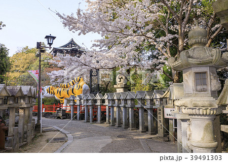 信貴山 信貴山 39491303