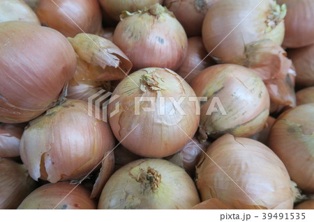玉ねぎ 39491535