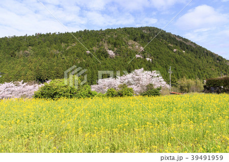 大原 三千院 大原 三千院 39491959