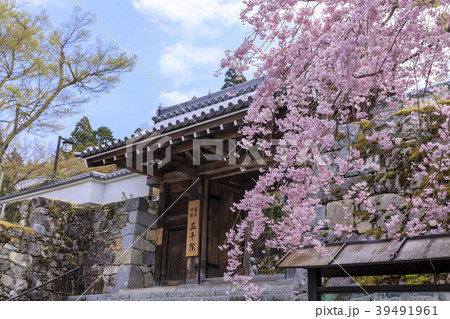 大原　三千院 39491961