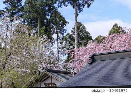 大原 三千院 大原 三千院 39491975