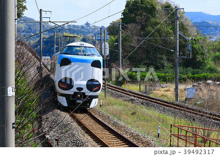 パンダくろしお号JR287 Panda face Express Train Kuroshio 49 39492317