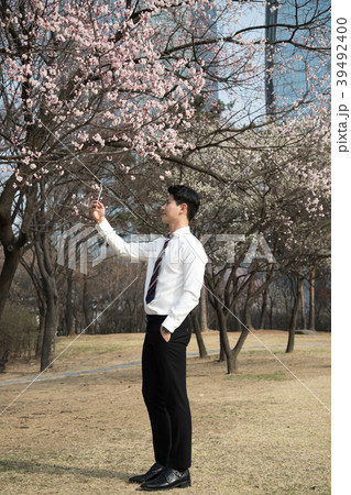 ネクタイ 余裕 木 39492400