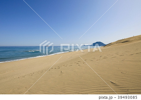 鳥取砂丘 (鳥取県鳥取市) 鳥取砂丘 (鳥取県鳥取市) 39493085
