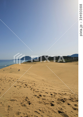 鳥取砂丘　（鳥取県鳥取市） 39493088
