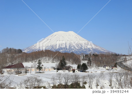 ニセコ町、黒川地区から見る羊蹄山 39493244