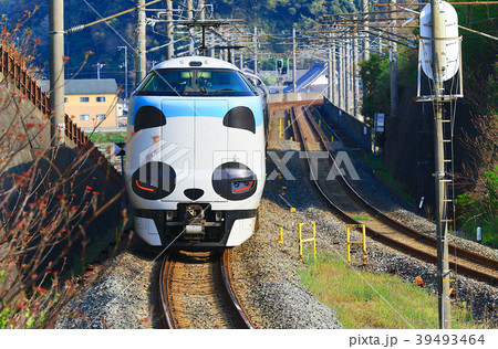 パンダくろしお号JR287 Panda face Express Train Kuroshio 55 39493464