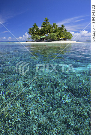 南の海に浮かぶ小さな島 39494222