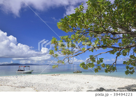 南の海に浮かぶ小さな島 39494223
