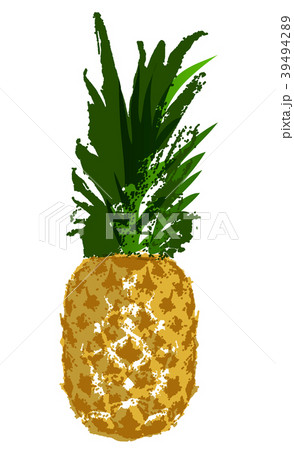 Vector Single Sketch Pineapple Vector Single Sketch Pineapple 39494289