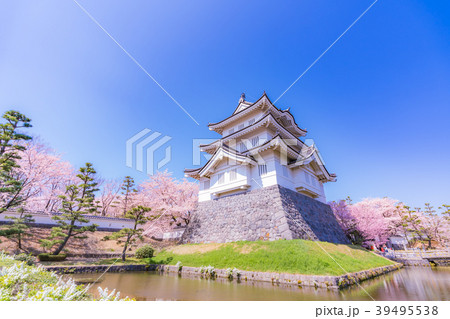 日本の春 忍城(浮き城)の桜 39495538