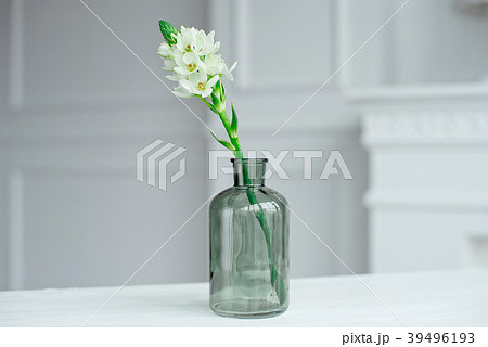 Branch of blooming white hyacinths in a glass vase 39496193