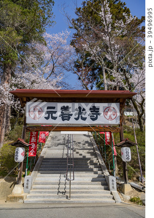 春の元善光寺　長野県飯田市 39496995