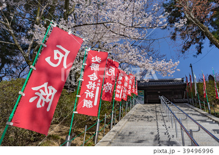 春の元善光寺 長野県飯田市 春の元善光寺 長野県飯田市 39496996