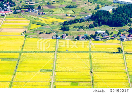 秋の農村風景(9月) 秋の農村風景(9月) 39499017
