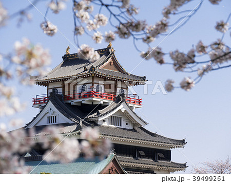 清洲城と桜 五条川対岸から 清洲城と桜 五条川対岸から 39499261
