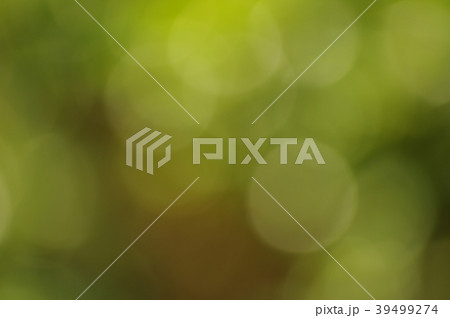 春の光　キラキラ玉ボケ　 39499274