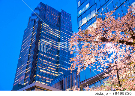《東京都》春の都市風景 《東京都》春の都市風景 39499850