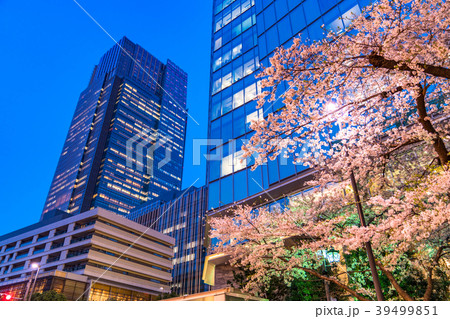 《東京都》春の都市風景 《東京都》春の都市風景 39499851