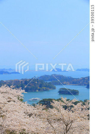 春の松島 春の松島 39500115