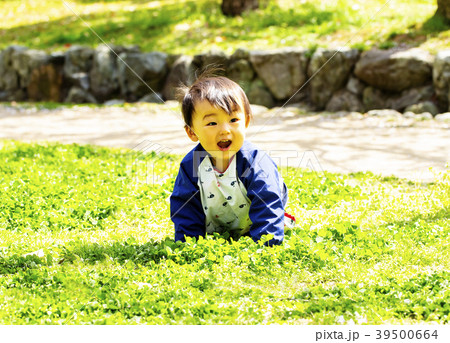 芝生をハイハイする男の子① 39500664