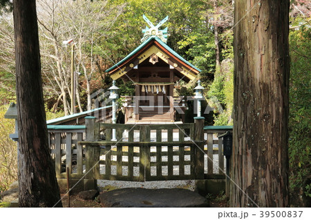 常陸の国出雲大社　笠間 39500837