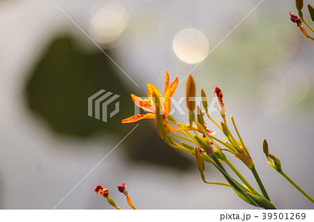 台湾 台北 台北市 39501269